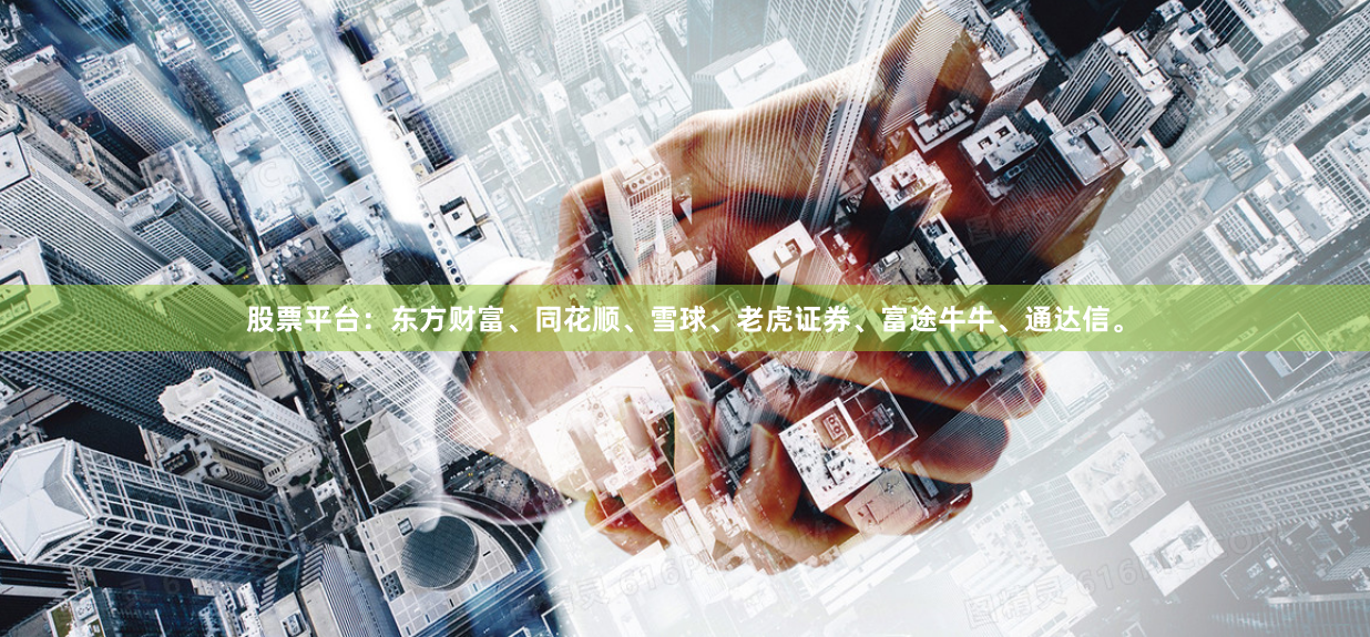 股票平台：东方财富、同花顺、雪球、老虎证券、富途牛牛、通达信。