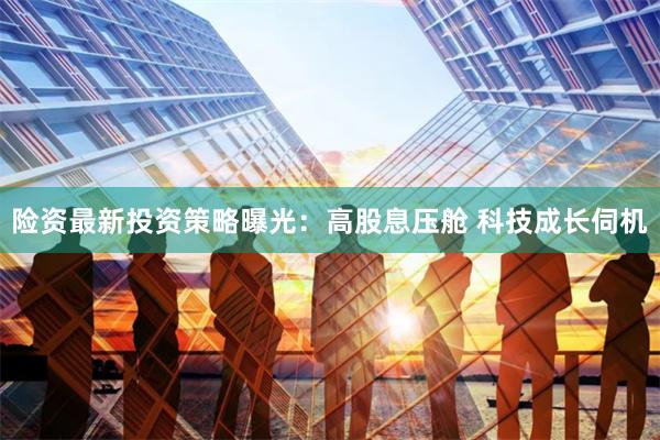 险资最新投资策略曝光：高股息压舱 科技成长伺机