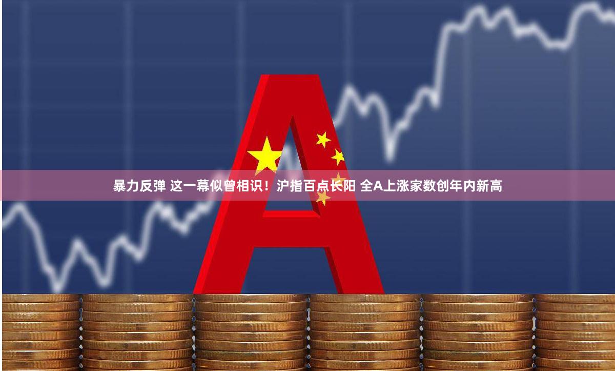 暴力反弹 这一幕似曾相识！沪指百点长阳 全A上涨家数创年内新高